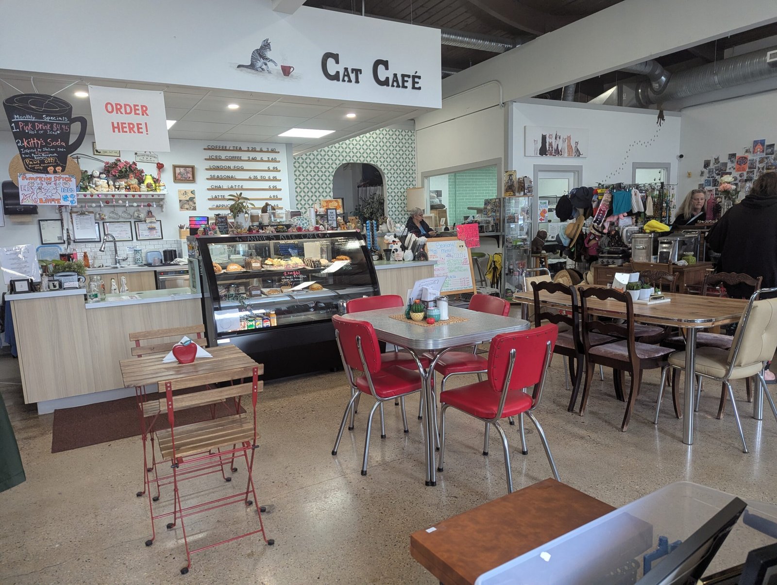 Thrifting, Coffee… and Cats?